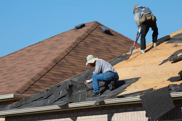 Best Asphalt Shingle Roofing  in Lockport, NY